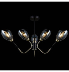 Люстра на штанге ILLUMICO  IL9960-6CSQ-79 BK AB