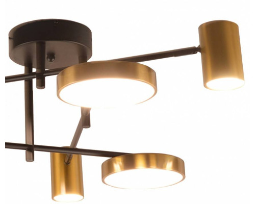 Потолочная люстра Kink Light Рапис 07645-6D,19(20)