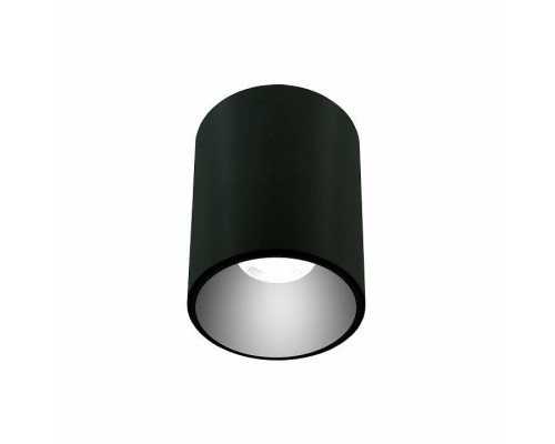 Накладной светильник LIGHTERA Shamrock LE200CL-1B