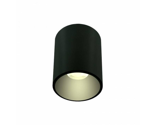 Накладной светильник LIGHTERA Shamrock LE200CL-1B