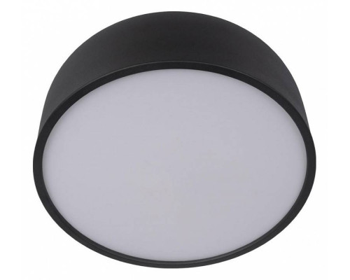 Накладной светильник Loft it Axel 10201/350 Black