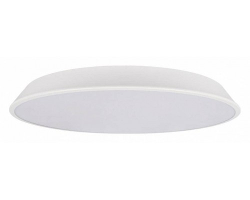 Накладной светильник Loft it Brim 10226 White