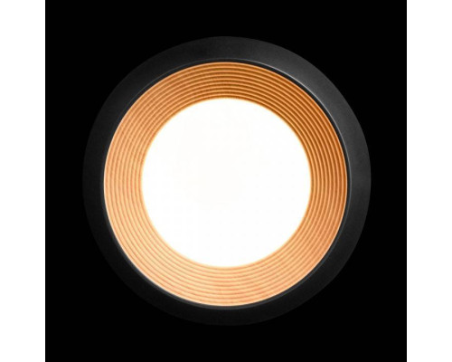 Накладной светильник Loft it Folk 10255/350 Black