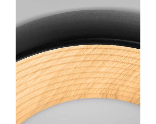 Накладной светильник Loft it Folk 10255/350 Black