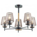 Люстра на штанге Lumion Betsy 4498/5C