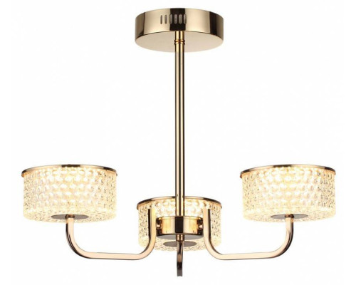 Люстра на штанге Lumion Venice 6579/40CL