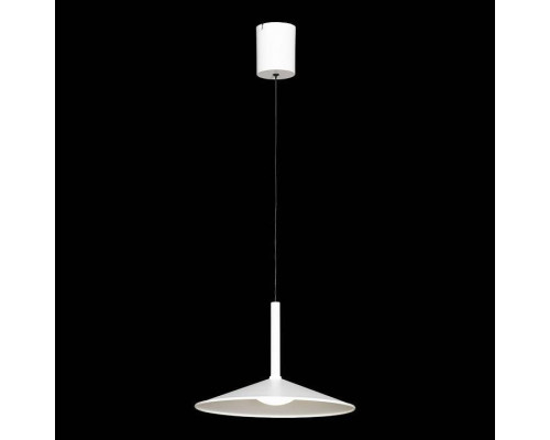 Подвесной светильник Lussole REFUGIO LSP-7432