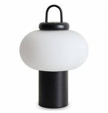 Настольная лампа декоративная Freya Take FR6175TL-L10B