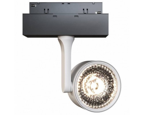 Светильник на штанге Maytoni Track lamps 3 TR024-2-10W4K