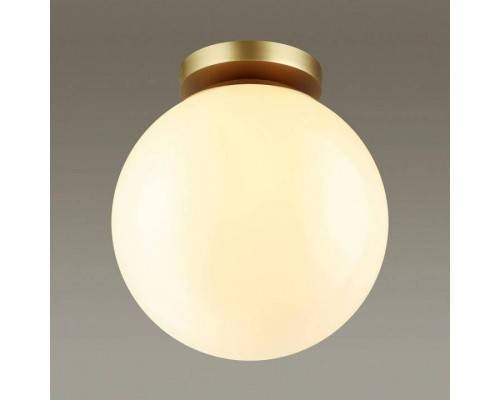 Накладной светильник Odeon Light Bosco 4248/1C