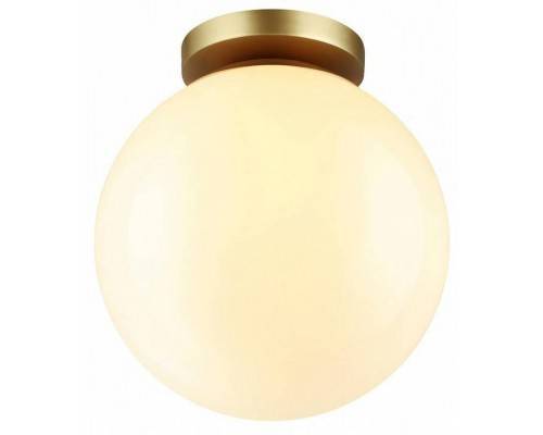 Накладной светильник Odeon Light Bosco 4248/1C