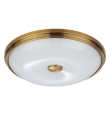 Накладной светильник Odeon Light Pelow 4956/4