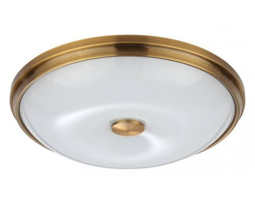 Накладной светильник Odeon Light Pelow 4956/4