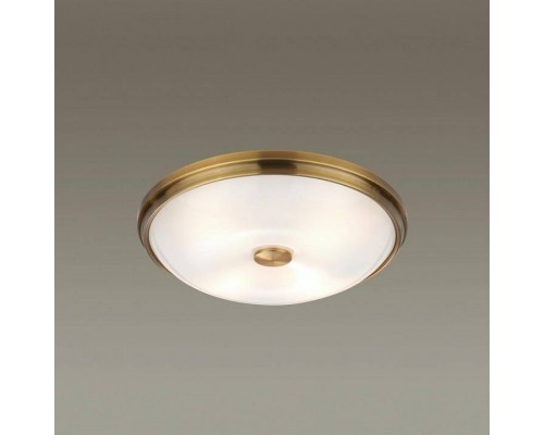 Накладной светильник Odeon Light Pelow 4956/4