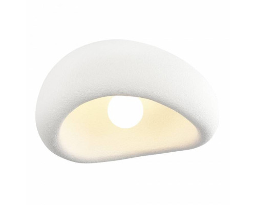 Накладной светильник ST-Luce WABI SABI SL1522.502.01