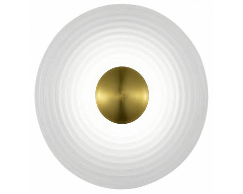 Накладной светильник ST-Luce Moon SL6125.311.01