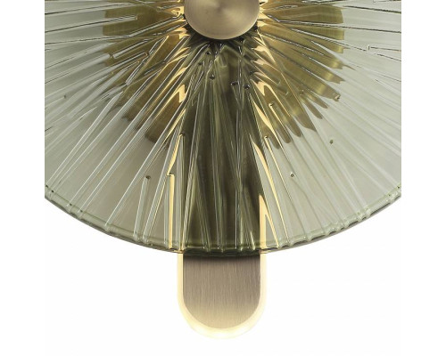 Накладной светильник ST-Luce WASI SL6141.321.01