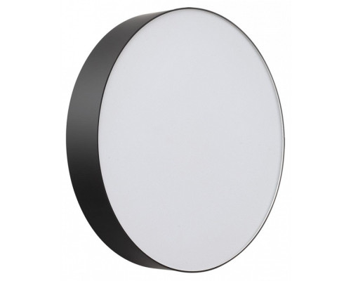 Накладной светильник Sonex BASICA 7780/DLN