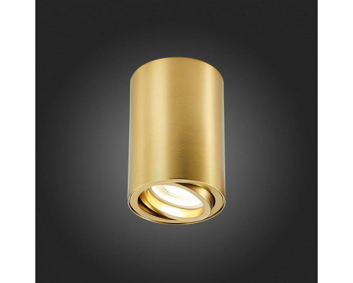 Накладной светильник ST-Luce ST108 ST108.207.01