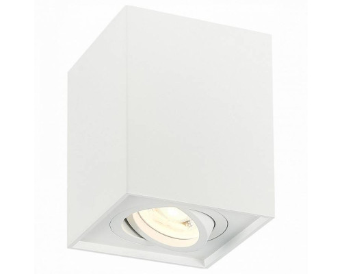 Спот ST-Luce Quadrus ST109.507.01