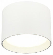 Накладной светильник ST-Luce  ST163.502.01.02