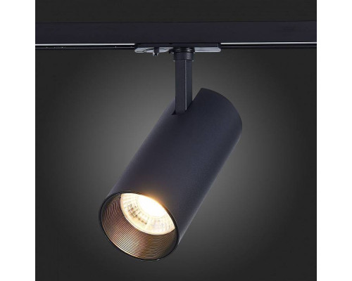 Светильник на штанге ST-Luce Mono ST350.436.30.36