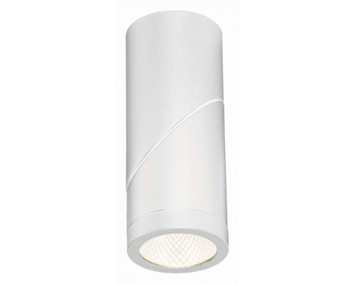 Светильник на штанге ST-Luce ST650 ST650.542.10