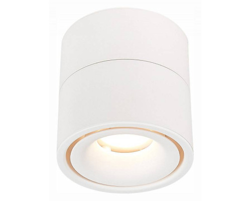 Светильник на штанге ST-Luce ST652 ST652.542.12