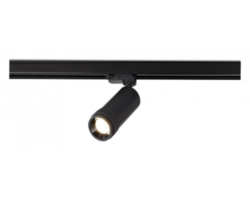 Светильник на штанге ST-Luce  ST691.436.20