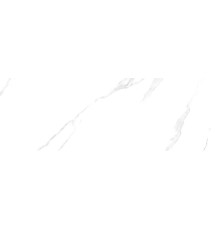 TWU12VIV00R плитка облицовочная Vivienne 246*740*10 (7 шт в уп/53,508 м в пал)