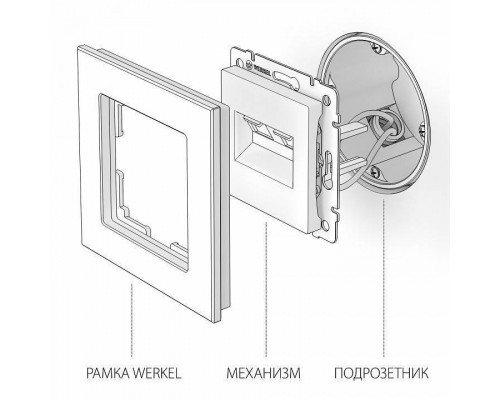 Розетка Ethernet RJ-45 без рамки Werkel слоновая кость W1181103