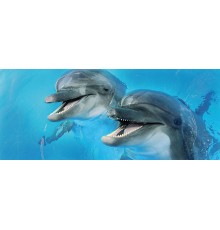 Porto Dolphins 2 centro Декор 25x60