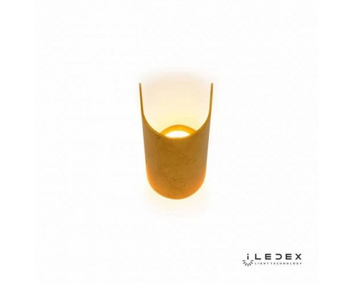 Накладной светильник iLedex Cute ZD8077-6W Gold