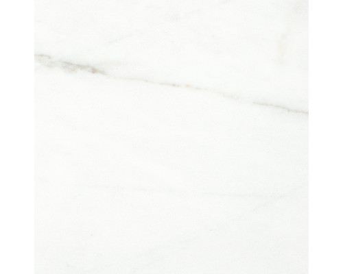 Voyage Blanco Керамогранит белый SG606822R 60х60 полированный