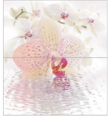 Dec Orchid Panno (панно из 2-х шт) КПН16Orchid 50х45