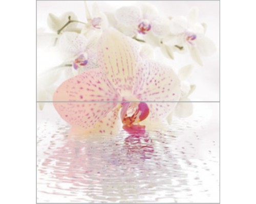 Dec Orchid Panno (панно из 2-х шт) КПН16Orchid 50х45