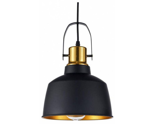 Подвесной светильник Arti Lampadari Priamo Priamo E 1.3.P2 B