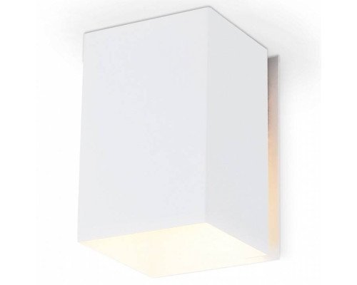 Накладной светильник Ambrella Light TN TN5111