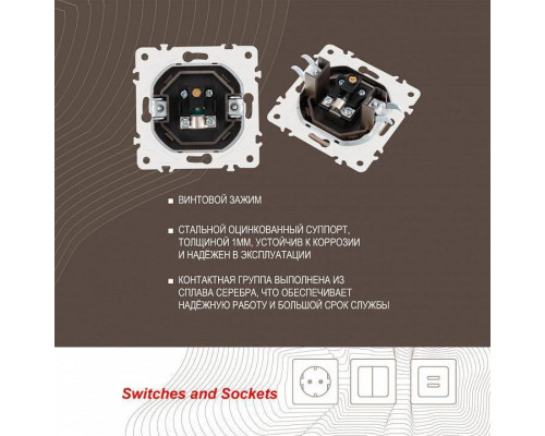 ТВ-розетка без рамки Arte Milano am-205 205.43-1.shampan