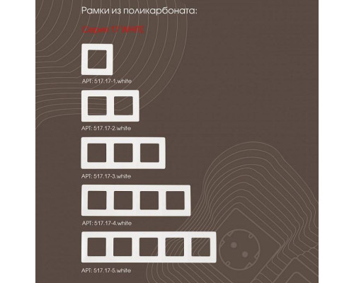 Розетка с заземлением и со шторкой, без рамки Arte Milano am-217 217.40-1.white