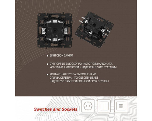 Розетка с заземлением и со шторкой, без рамки Arte Milano am-217 217.40-1.white