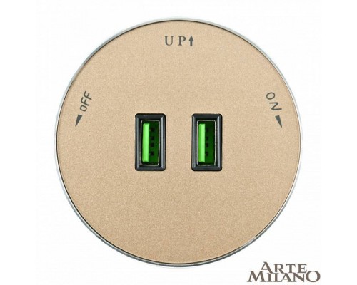 Розетка 2xUSB на треке Arte Milano Am-track-sockets 380011TS/USBx2 Gold