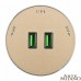 Розетка 2xUSB на треке Arte Milano Am-track-sockets 380011TS/USBx2 Gold