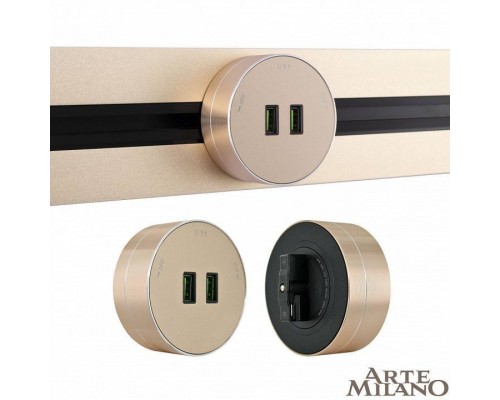 Розетка 2xUSB на треке Arte Milano Am-track-sockets 380011TS/USBx2 Gold