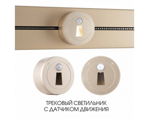 Накладной светильник Arte Milano Am-track-sockets-39 397953TLS/LWS Gold