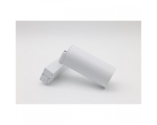 Светильник на штанге Aployt Magnetic track 220 APL.0209.11.01