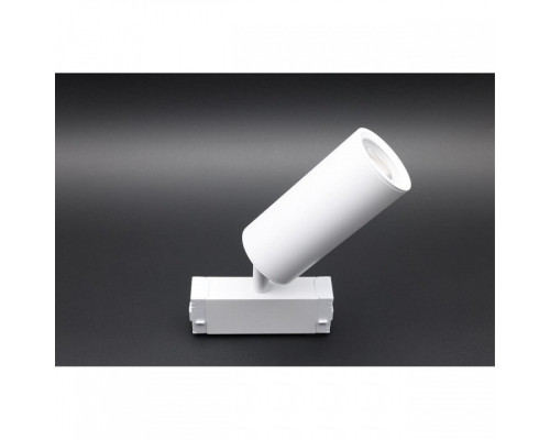 Светильник на штанге Aployt Magnetic track 220 APL.0209.11.01