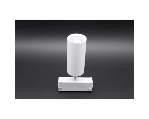 Светильник на штанге Aployt Magnetic track 220 APL.0209.11.01