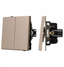 Выключатель двухклавишный без рамки Arlight SWT 054061