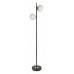 Торшер Arte Lamp Alcor A2224PN-2BK